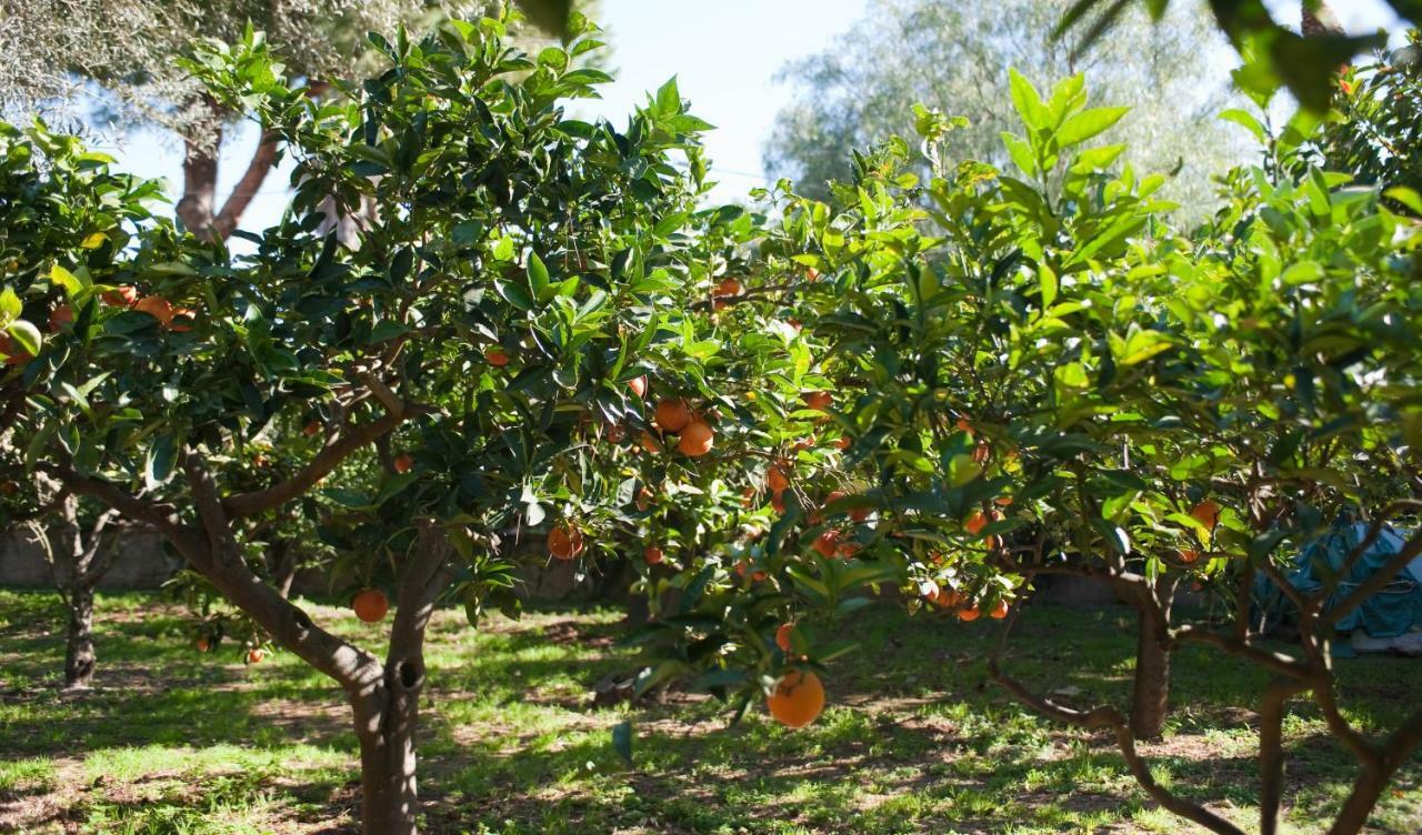 Green Garden 2017 Mondello Eksteriør bilde